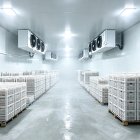 Cámara Frigorífica, Refrigerador Comercial, Cuarto Frío, Equipo de Carnicería, Automático, Copeland, Emerson, Precio Competitivo