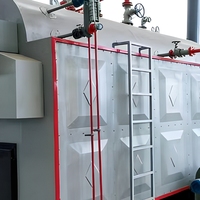 Industriële handgestookte biomassa stoomketel voor handmatige invoer, 4-10 ton, voor grote voedselverwerkings- en fruitdrooglijnen