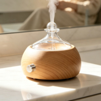 Vente de nébuliseur d'huiles essentielles sans eau, aromathérapie, diffuseur d'arômes 30 ml