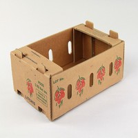 Op maat gemaakte gegolfde stevige fruitdozen, geventileerd, waterbestendig, matte laminatie, exportverzenddozen