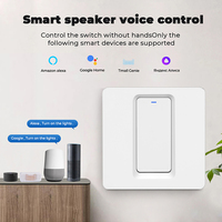 Interruptor de Luz Zigbee 3.0 de 1/2/3 Vías, Estándar Europeo, Sin Capacitor, Un Solo Neutro, Universal, Compatible con Alexa y Google Home