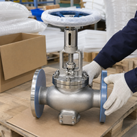 Vanne à soupape manuelle à molette en acier inoxydable à bride pour conduite de refoulement de pompe, PN16, pour systèmes de pipeline industriels