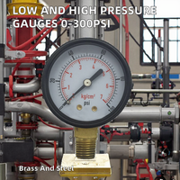 Low & High Pressure Gauges 300Psi Brass & Steel DN50 Pressure Measuring Instruments