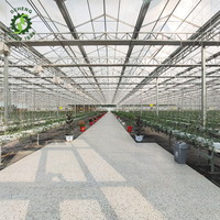 Chauffe-serre en verre intelligent Graines de fleurs avec système de culture hydroponique Système hydroponique agricole NFT