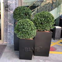 Pot de fleurs en acier inoxydable noir doré BLVE pour la décoration de la maison, du jardin, des hôtels et des espaces publics