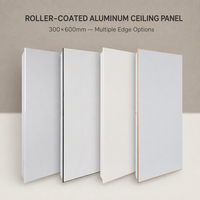 Grille de plafond carrée en aluminium 300x600mm intégrée suspendue pour cuisines et salles de bain - Ignifuge, insonorisante, résistante à l'humidité
