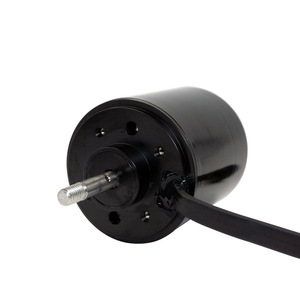 Motor BLDC Personalizado para Limpiador <span class=keywords><strong>de</strong></span> Piscinas, Propulsor Subacuático Impermeable IP68 para Aspiradora Robótica <span class=keywords><strong>de</strong></span> Piscinas, Propulsión Sumergible OEM - Product Image 3