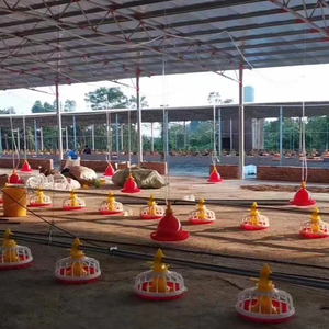 Có thể điều chỉnh thức ăn Pan THẬM CHÍ phân phối chất thải thấp Xúc Xích Gà hệ thống cho ăn gia cầm hiện đại dự án - Product Image 6