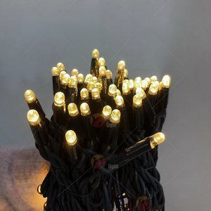 ไฟ LED สายยาวแบบกันน้ำ IP65 แสงวอร์มไวท์ สายยางสีดำ 10 ม. 50 ม. 100 ม. AC 220V สำหรับตกแต่งต้นไม้ อาคาร รั้ว และภูมิทัศน์ - Product Image 1