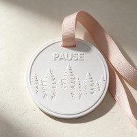 Diffuseur de parfum suspendu en céramique blanche fait main avec logo personnalisé Finru, OEM, pour la maison, longue durée, pour armoire, vente en gros
