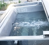 Industriële Groente Fruit Wassen Reiniging Sorteren Snijden Blancheren Drogen Productielijn Groente Fruit Verwerking Machine