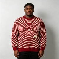 Pull en tricot rétro pour homme, motif spirale rayé jacquard, motif géométrique d'éléphant, col rond, pull tendance