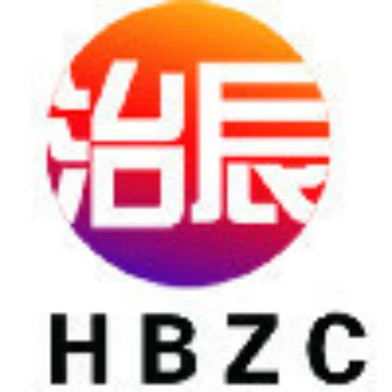 Hebei Zhichen Auto Parts Co., Ltd. logo