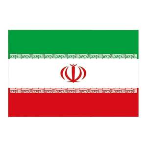 Маленький ручной развевающийся флаг с изображением Льва - Product Image 4