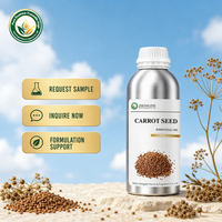 Huile Essentielle de Graines de Carotte (Daucus Carota) pour Soins Capillaires – Formule Vitalité du Cuir Chevelu pour Masque Professionnel en Salon
