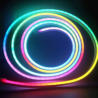 Arc-en-ciel intelligent numérique rvb adressable 12V Flex corde Led décoration extérieure Tube en Silicone étanche 5m Flexible néon bande lumineuse