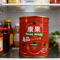 Ketchup de tomate en conserve 850g personnalisé pour usage commercial, sauce tomate maison en conserve, sauce de cuisson et de trempage pour la cuisine, sans additifs