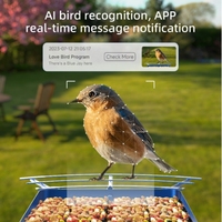 1.5L IP66 Étanche Utilisation Extérieure AI Smart Bird Feeder Camera avec Squirrel Proof Solar Powered 5MP HD Night Vision, App Control