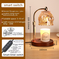 Premium Elegante Trendige Geprägte Glas-Duftlampe mit Dimmer und Timer, Rauchfreie Duftwärmer-Dekorationslampe für Schlafzimmer