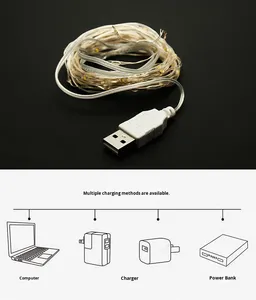 DC 5V USB Copper <strong>Wire</strong> <strong>LED</strong> String <strong>Light</strong> IP44 Fairy Garland Christmas Festival Decorative Dimmable Warm White Lighting - Product Image 5
