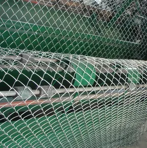 Produttore diretto in Dingzhou Prezzo di Fabbrica PVC Rivestito in Metallo Zincato Chain Link Fence
