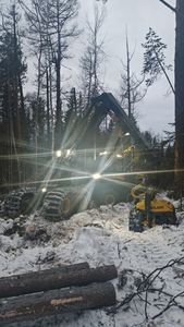 Cosechadora Forestal XUVOL 8WD con Cabina Giratoria y Autonivelante, Motor de 250KW, Neumáticos de Goma, Cosechadora Forestal de 600HP con Ruedas - Product Image 5