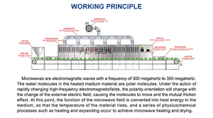 Séchoir à tunnel micro-ondes personnalisé pour séchage à bande transporteuse de pois Machine de séchage de stérilisation de feuilles Machine de séchage à micro-ondes - Product Image 6