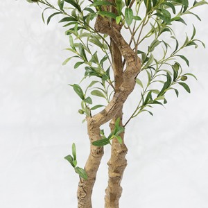 Plante artificielle verte en pot pour sol, ornement d'intérieur, olivier populaire pour la décoration de magasin, combinaison d'oliviers artificiels - Product Image 4
