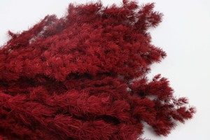 Ramo de flores de helecho <span class=keywords><strong>Ming</strong></span> preservado de alta calidad para ocasiones de decoración del hogar como Pascua Navidad Halloween Back School - Product Image 4