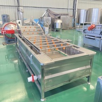 Blaasreinigingsmachine voor blauwe bessen en aardbeien, groente- en fruitdroog- en reinigingsmachine