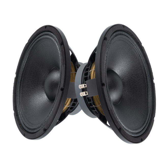 300 Watt 12 Inch Speaker Driver Price Suitable for Compact Two Way Systems