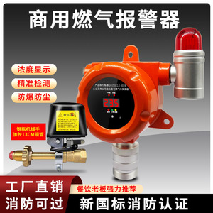GTY-FL918 Gas <b>Alarm</b> Detector Industrial Commercial Natural Gas Lpg Leakage Sensor With Audible Visual <b>Alarm</b> - Product Image 4