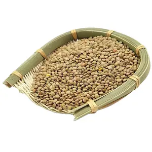 Supply lentils high quality green lentils 2020 new crop