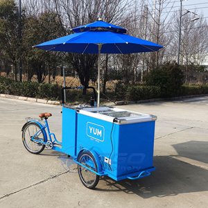 Three-Wheel Ice Food Car Front Freezer Street Food Freezer Bike - Product Image 2