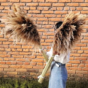 Grandi decorazioni in <span class=keywords><strong>erba</strong></span> della pampa G2, fiori secchi per decorazioni nuziali, fiori immortali, accessori per servizi fotografici, grandi steli di <span class=keywords><strong>erba</strong></span> della pampa - Product Image 3