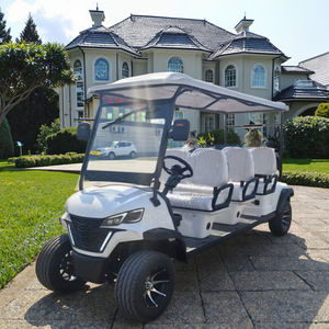Carrito de Golf Eléctrico Todoterreno de Alta Calidad, Personalizado, de 6 Plazas, para Caza, Producción de Calidad, Buggy de Golf para Caminos No Públicos - Product Image 2