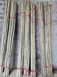 Agricultural Bamboo Stakes Bamboo <b>Garden</b> Stakes Natural Tonkin <b>Cane</b> Vietnam Manufacturer Wholesale - Product Image 1