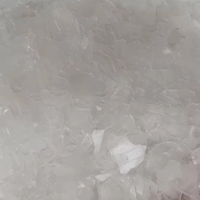 Machine à glaçons en flocons de grande capacité pour usage commercial et industriel, produisant 500 kg par jour avec filtre à eau