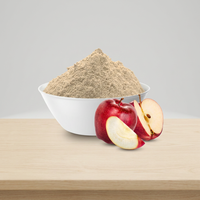 Natuurlijk appelvruchtenpoeder, premium food grade, gesproeid gedroogd ingrediënt voor bulk levering, gedroogd appelpoeder