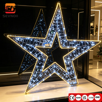 Maßgefertigtes 2D LED-Sternmotiv-Licht IP65 Außen-Weihnachtslandschaftsdekoration