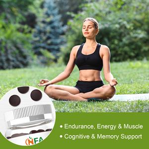 Private Custom Mushroom Gummies Immune Support Energy Support Cognitive Memory Support Contains Lion's Mane With Black Fungus - Product Image 3