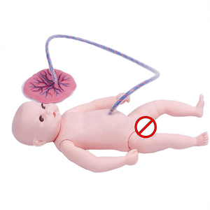 <span class=keywords><strong>Model</strong></span> Perawatan Tali Pusat Bayi Neonatal Lanjutan yang Realistis untuk Praktik Keperawatan - Product Image 4
