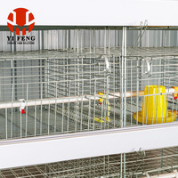 Cage à batterie pour poulets de chair de type H, 3 niveaux, avec système d'alimentation, d'abreuvement et de ramassage des excréments, pour élevage avicole