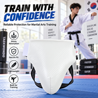 Protège-guêtres de protection pour arts martiaux, vente en gros d'usine, pour Taekwondo, Boxe, Entraînement MMA