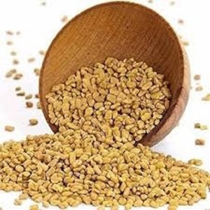 Graines de fenugrec indien fraîches et biologiques (Methi Dana) – Qualité export, épices en poudre, prix de gros - Product Image 1