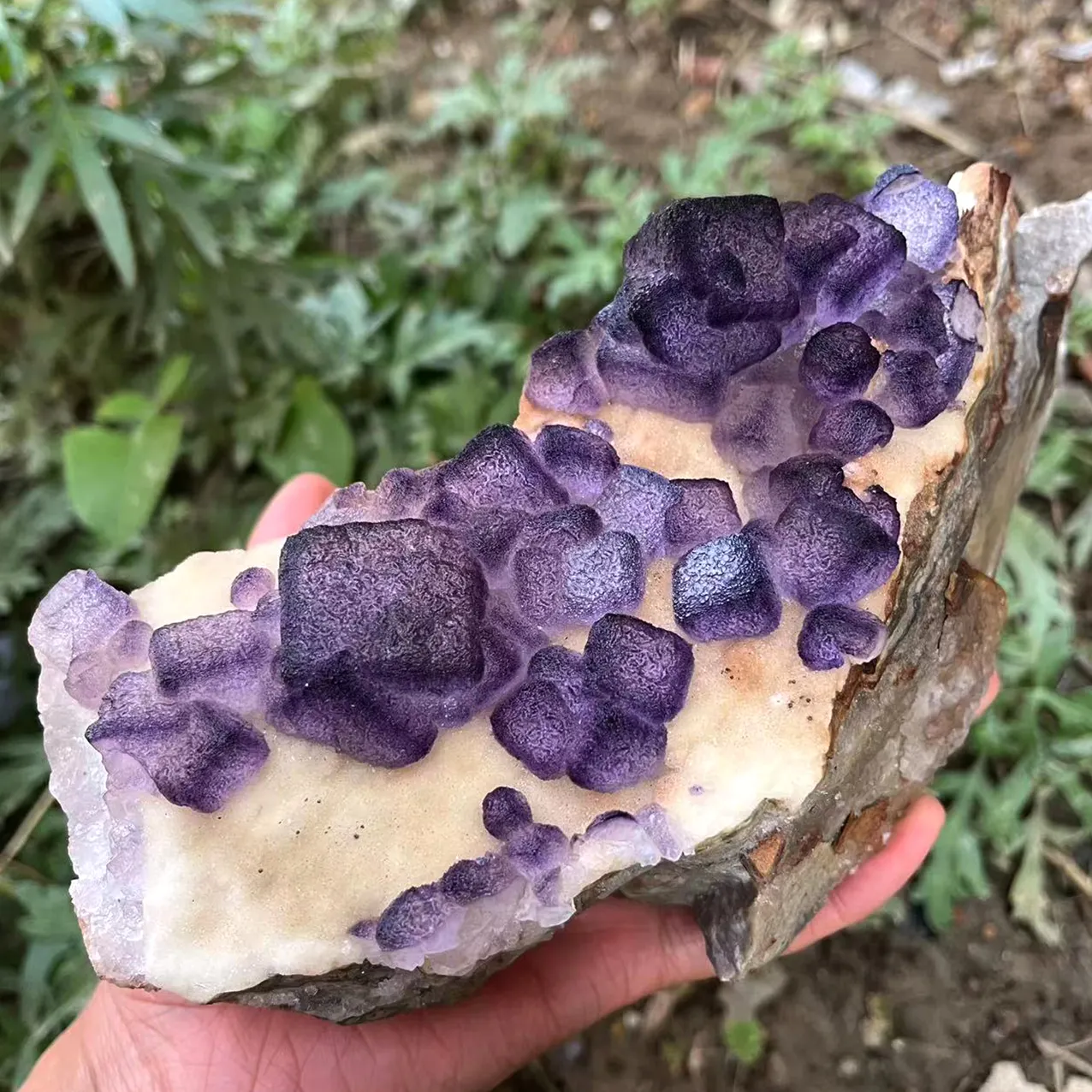 新商品天然ヒーリングクリスタル原石紫蛍光鉱物標本
