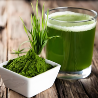 Poudre de jus d'herbe d'orge naturelle en stock d'usine, extrait végétal de haute qualité, marque Core Pure, conditionnement en fût de 25 kg