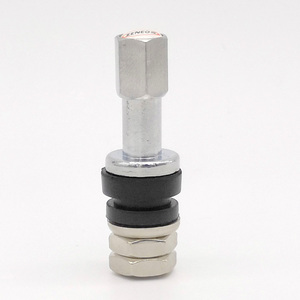 Repuestos para Motocicletas, Válvula de Neumático sin Cámara, Cromada, Empotrada, de Aleación de Zinc Plateada, Alta Calidad, TR43E TR48E Sanzhaoda - Product Image 1