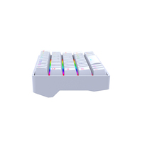 Outemu Dustproof Hot Swap Axis USB 2.0 Keyboard Mekanik Mini Berkabel/Nirkabel yang Dapat Diprogram RGB 61 Tombol Keyboard Desktop