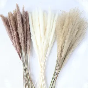 A-1030 Top seller boho wedding decor 45 cm natural pompas grass bunch bleached white dried small pampas grass